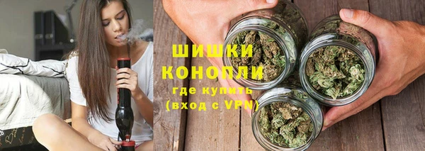 ешки Аркадак