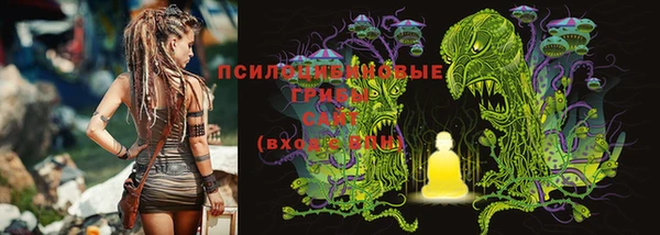 прущие крисы Арсеньев