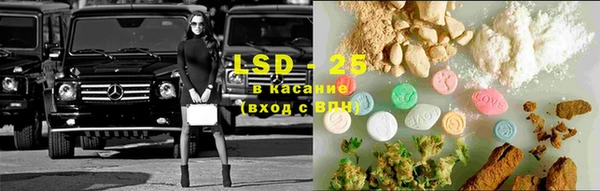 ешки Аркадак