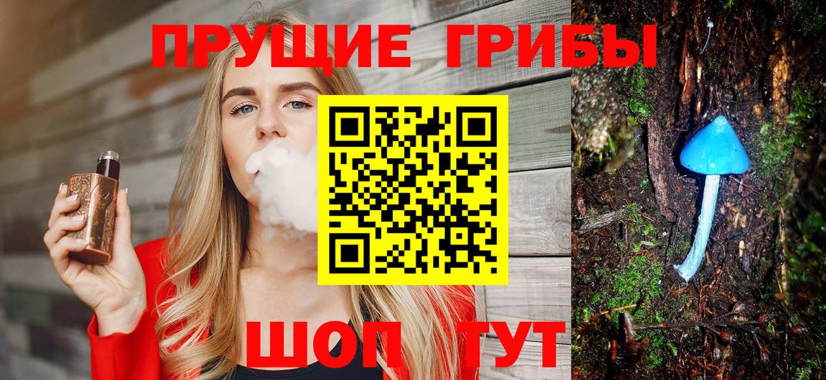 Ярцево  Псилоцибиновые грибы Psilocybine cubensis  Вход с VPN  Галлюциногенные грибы мицелий 